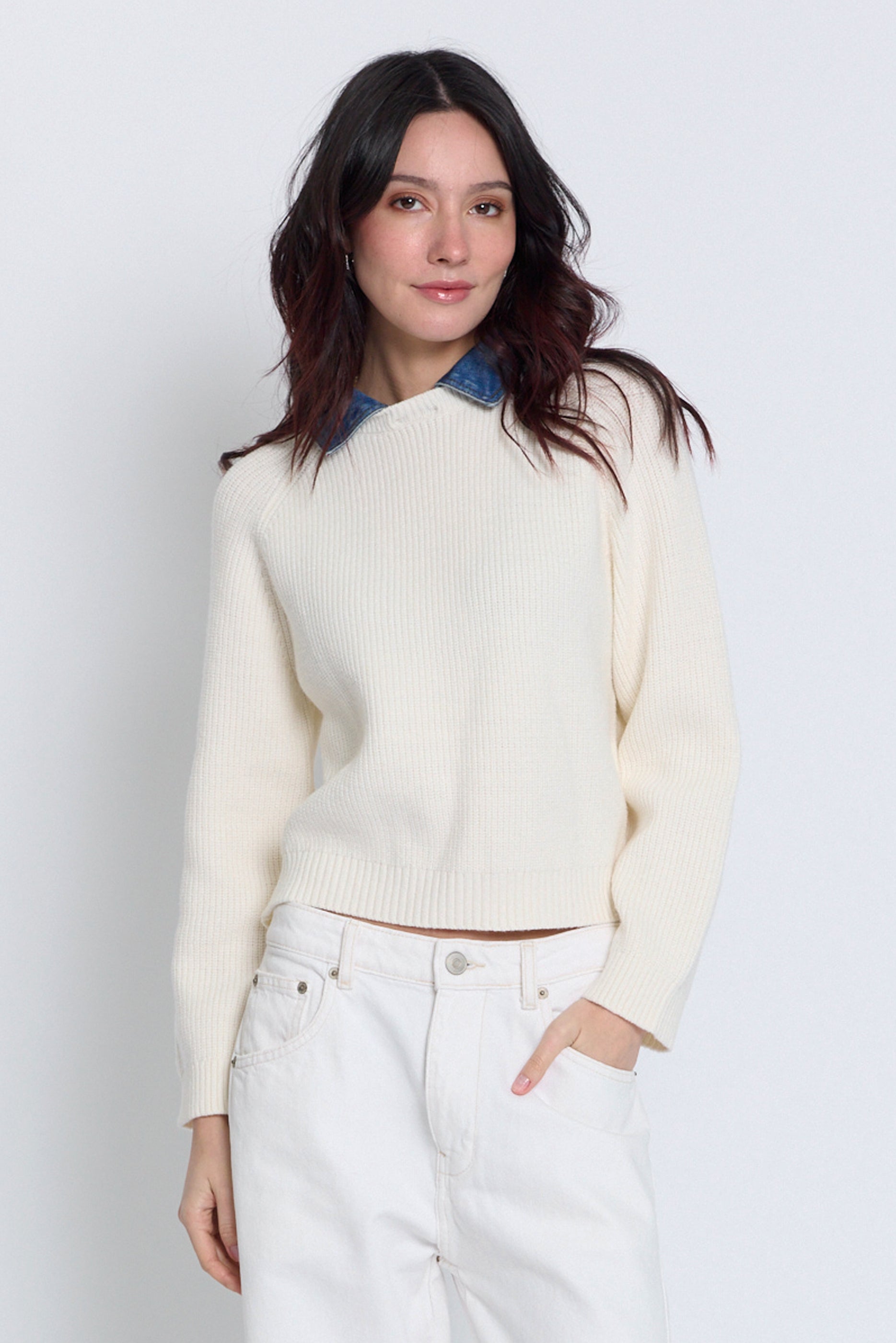 Nash Denim Collar Sweater