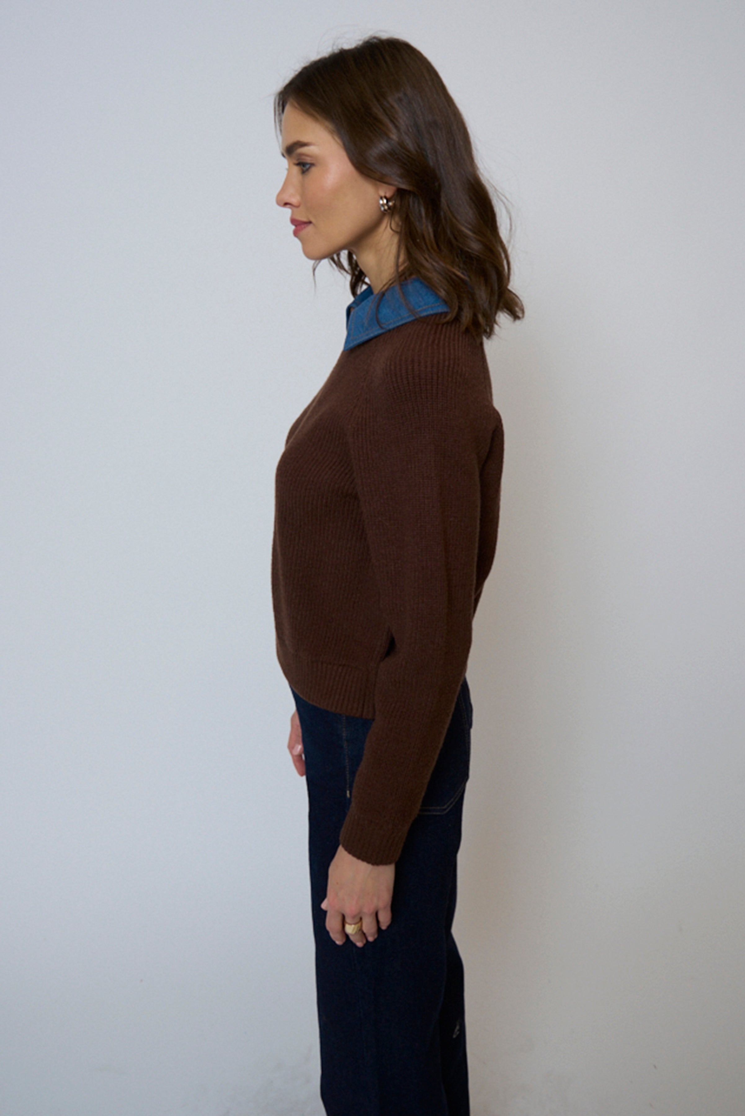 Dash Denim Collar Pullover