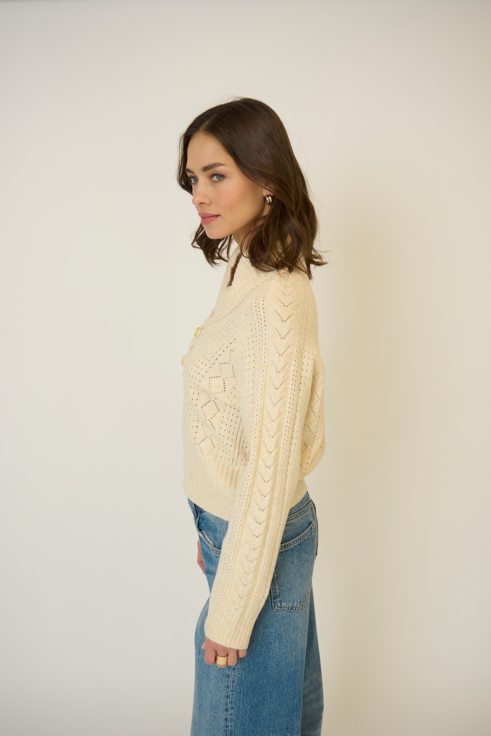 Rayna Shawl Collar Pointelle Cable Pullover