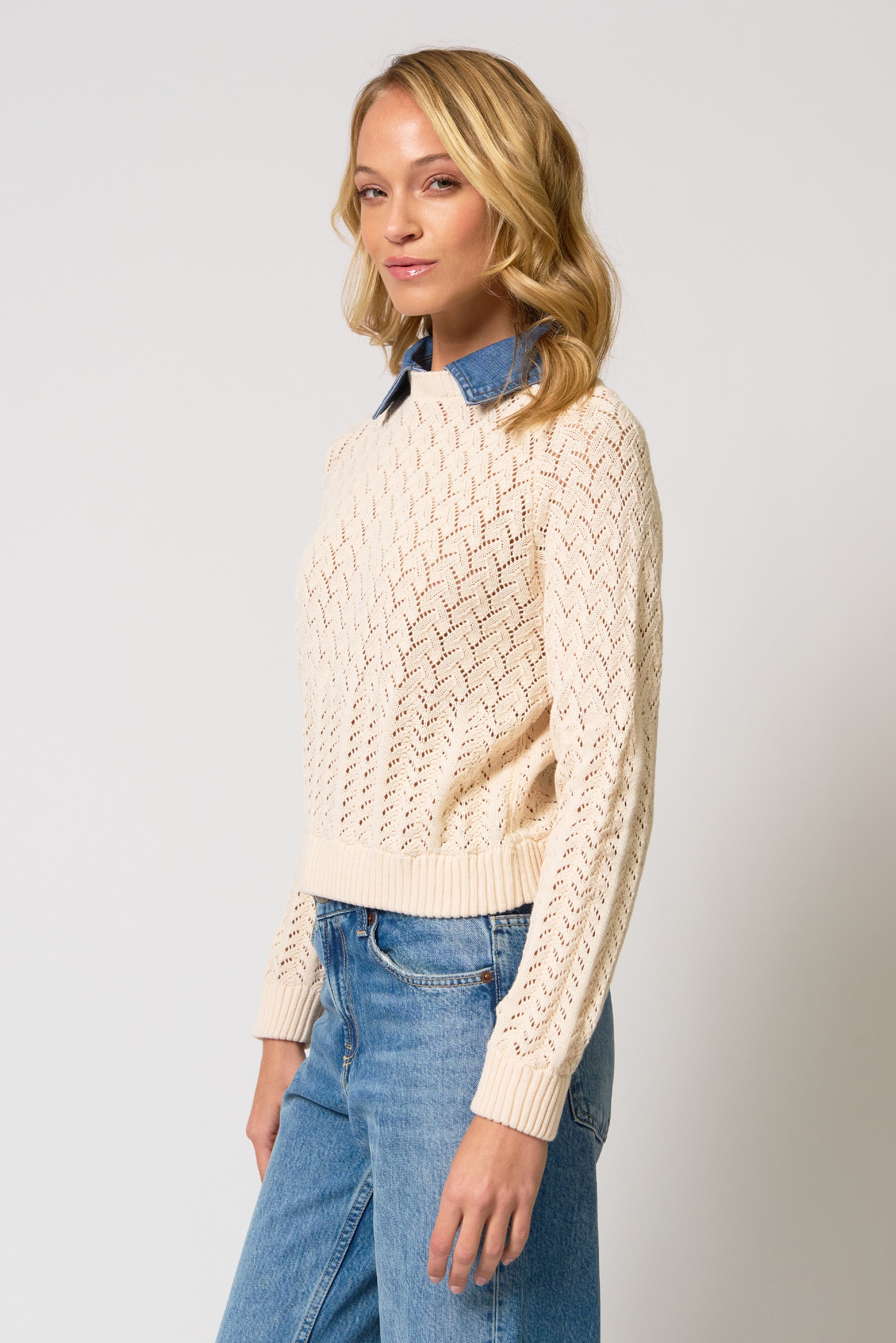 Hazel Denim Collared Pointelle Sweater