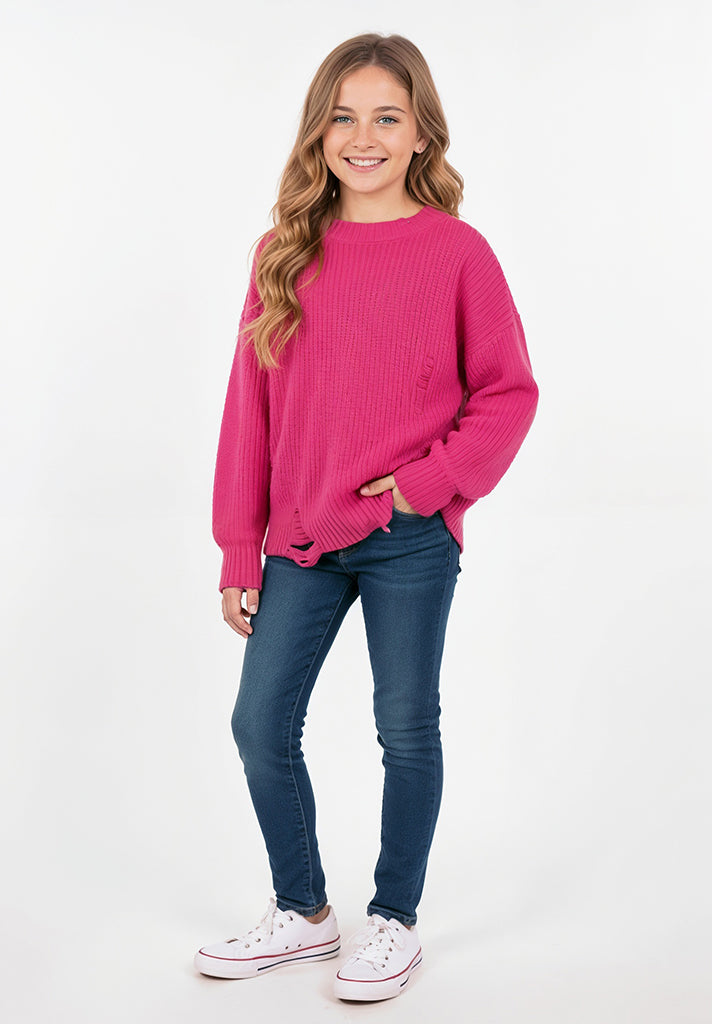 Stevie Distressed Crewneck